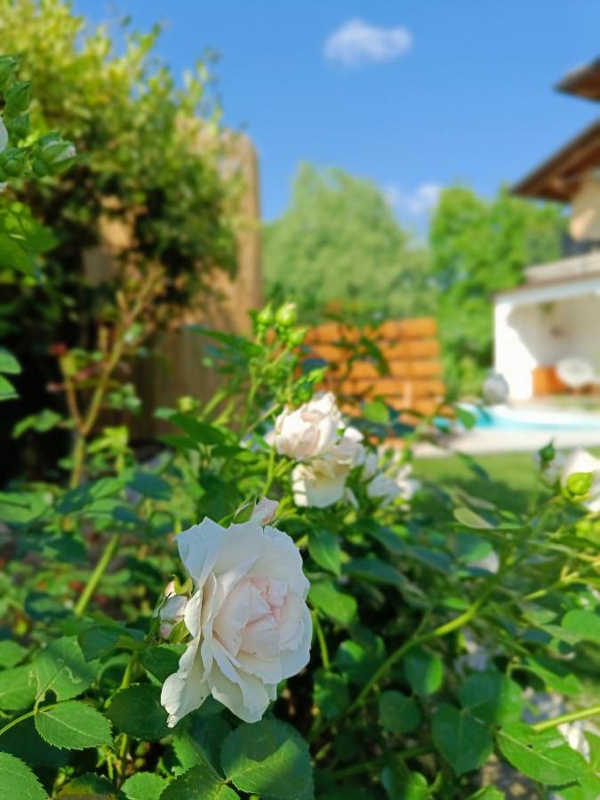 Picnic Room And Pool Castelnuovo del Garda Exterior photo